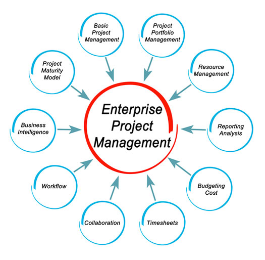 Organizational Project Management - Heva Management